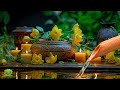 Healing Relaxation Music for Stress, Anxiety & Depression 🌿 Deep Sleep for Mind, Body and Soul Peace