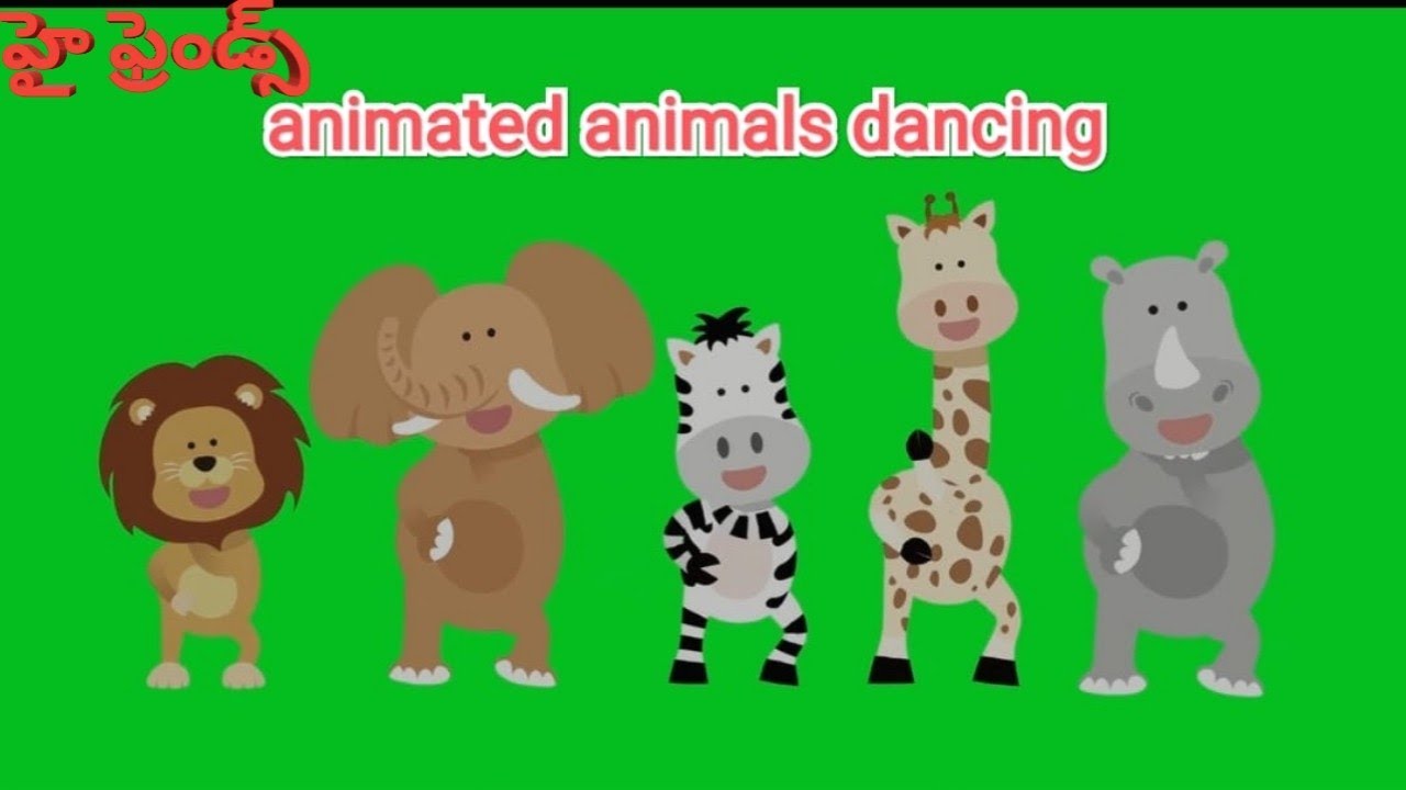 animated animals dancing - YouTube