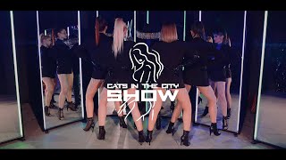 MARUV mix by Cats In The City Show - Drunk Groove | Rich Bitch | Focus On Me