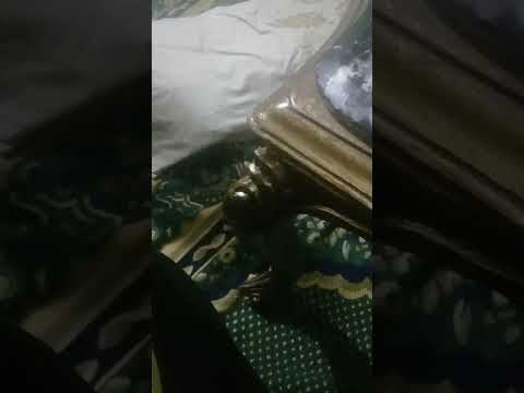 الراقصة نجلا تحتفل بفوز المنتخب المصرى على السنغال برقصة الفوز رقص رياضة هو فيه أيه مع شاهين