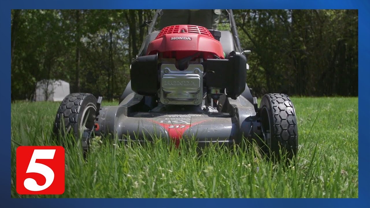 Which lawn and garden products will help you keep your yard looking fresh?