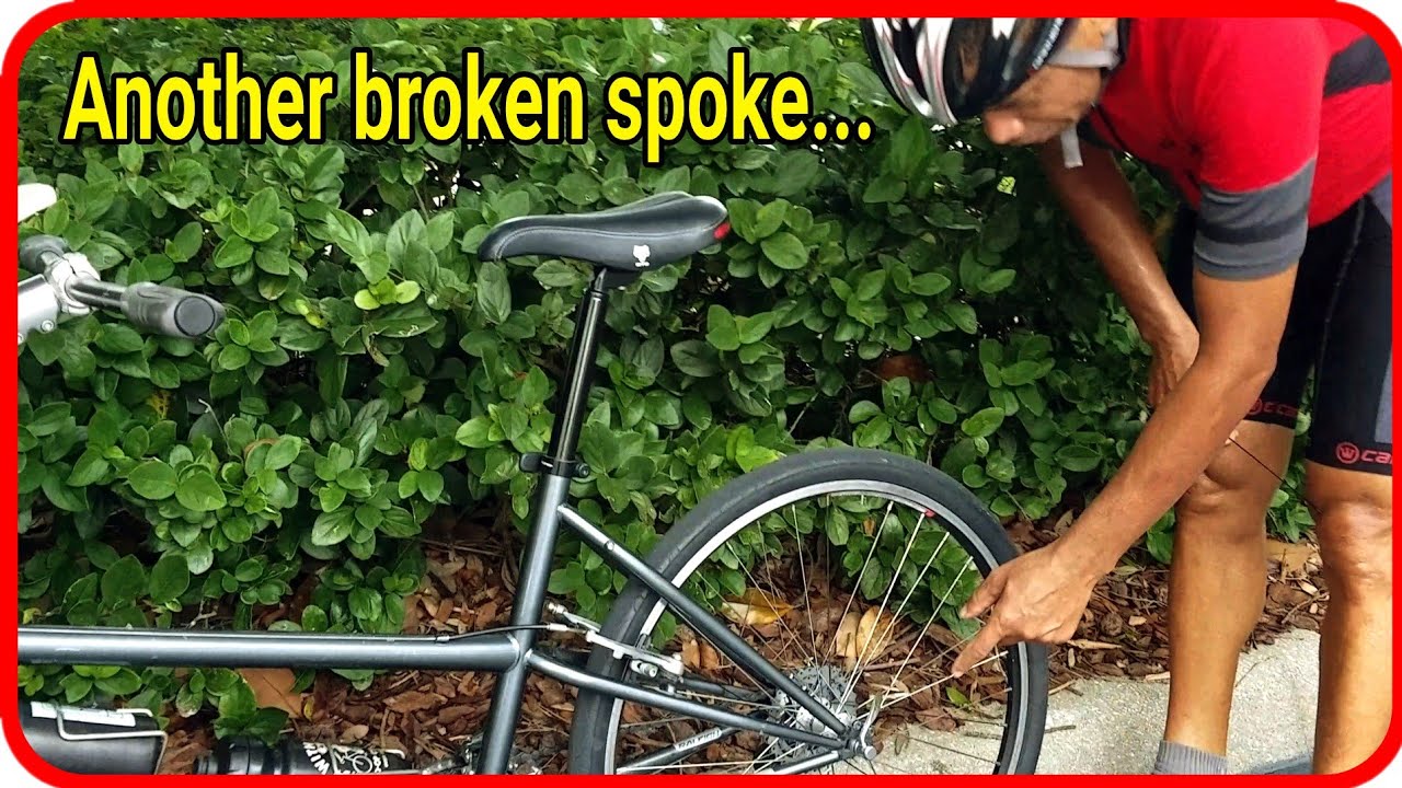 adventurer tandem bike