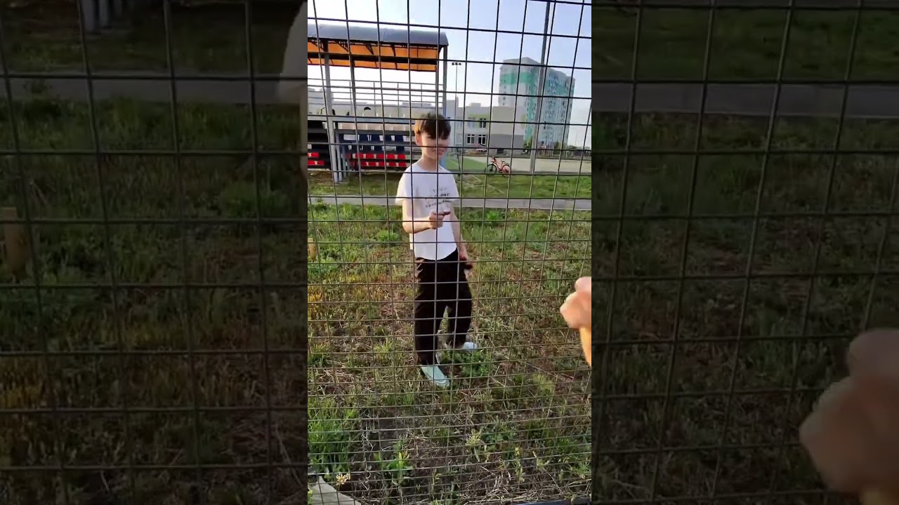 На что играем со следующим? 