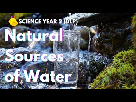Video: Watter Wetenskappe Is Natuurlik?