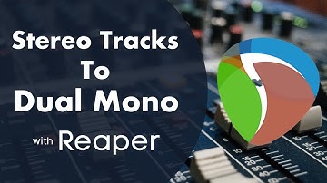 Stereo To Dual Mono in Reaper