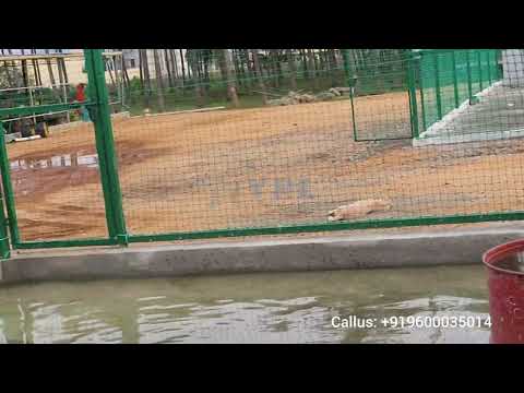 #YPL Safety Nets | #Cricket Practice Nets & Sports Netting for TN & AP Schools & Colleges