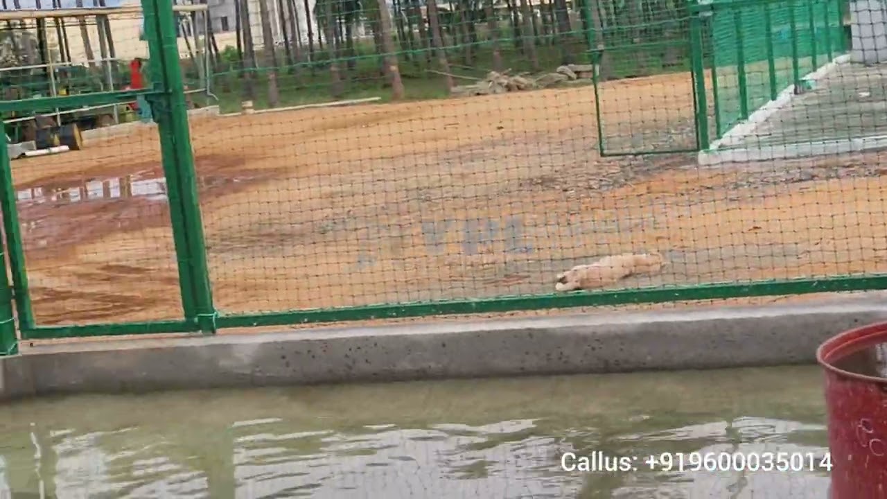 YPL Safety Nets | Cricket Practice Nets & Sports Netting for TN & AP Schools & Colleges — YPL Safety Nets video thumbnail