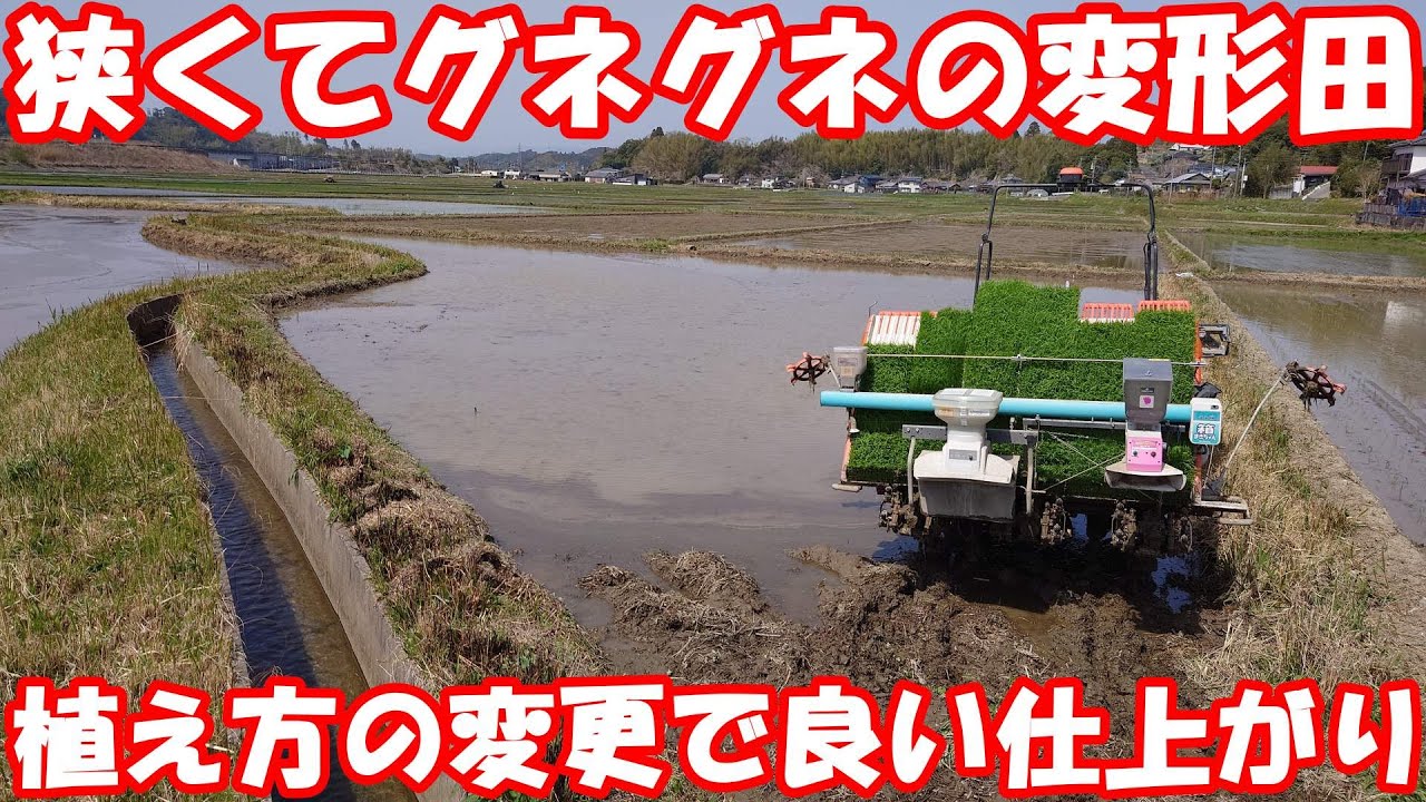Every year, the narrow, deformed, leaky rice paddies have failed