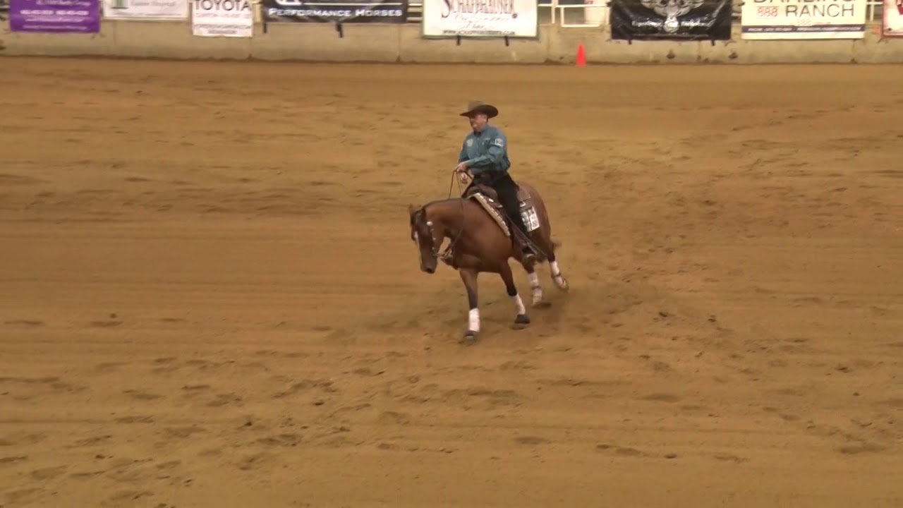 191102 Open Derby Jamie Bissell on Blaze Face Gunner