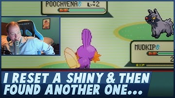 I Accidentally Reset A Shiny Mudkip & Found Another Shiny Immediately After!