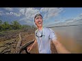 I'm AMAZED! Fish Feeding Frenzy During Solar Eclipse!