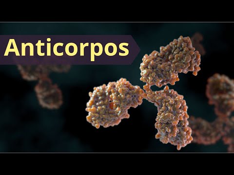 Vídeo: Quando os anticorpos prontos são administrados diretamente?