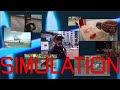 Simulation