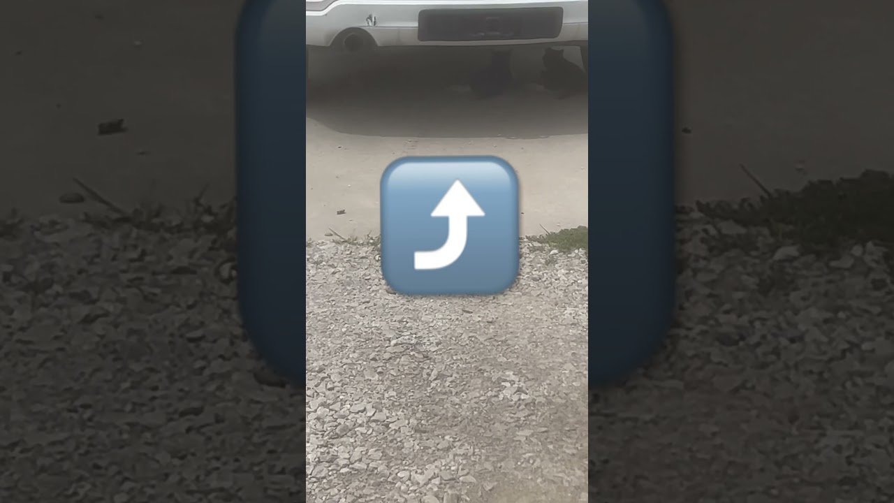 Three little kittens who lost their mittens