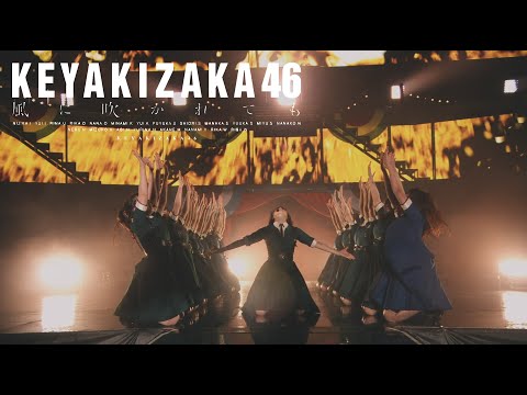 [HDR中字] 欅坂46 風に吹かれても 就算風吹 (欅共和国2019)