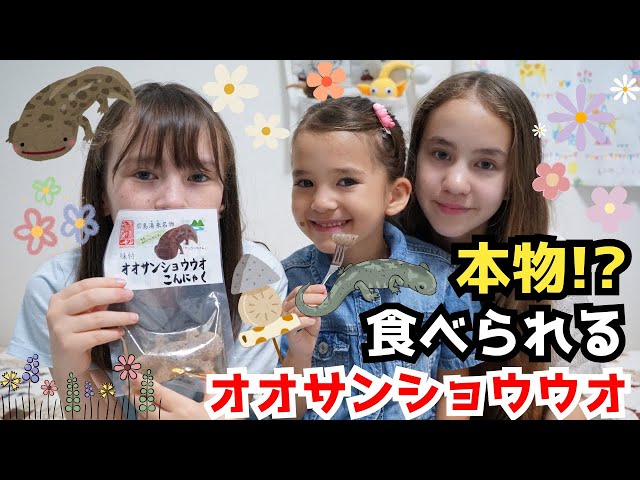 本物そっくり!? オオサンショウウオ型こんにゃくを食べてみた ピーチフラワー
