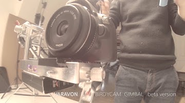 VARAVON BIRDYCAM LITE GUNTYPE-BETA