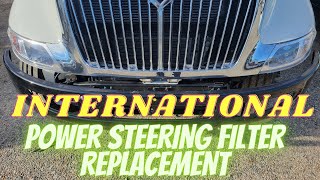 International Power Steering Filter