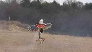 HOKUSEI Cap232 3D flying RC (OS 72)