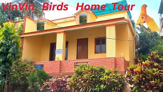 All my birds 🐤 and fishes 🐟  in one video 😍 | vinvin Birds Home Tour | Tamil