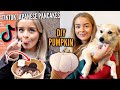 Home organisation trying viral tiktok food  an autumn diy  sop.oesvlogs