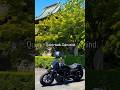 新緑に包まれる長勝寺とHarleyの旅。