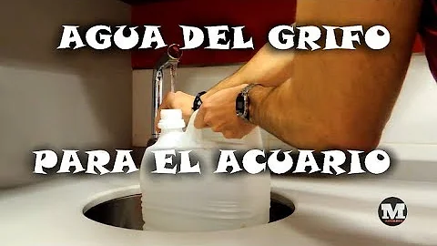 ¿Qué añado al agua del grifo para la pecera?