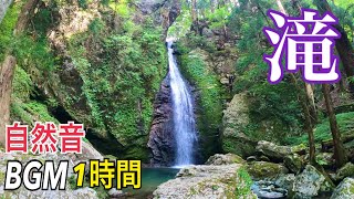 【神秘】龍王の滝 リラックス自然音BGM 1h　[Mysterious] Ryuo no Taki Relaxing Natural Sound BGM 1h