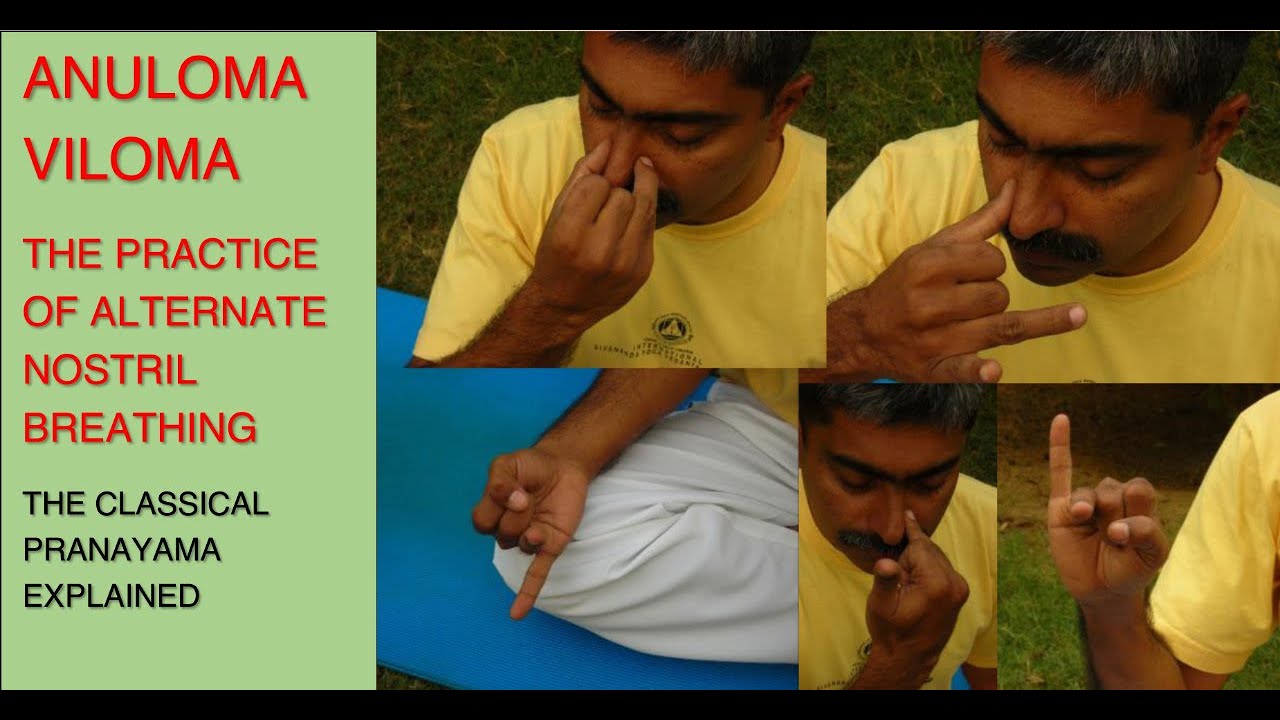 Anuloma Viloma Pranayama Alternate Nostril Breathing Steps
