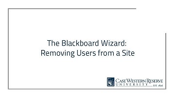 The Blackboard Wizard: Removing Users From a Blackboard Site
