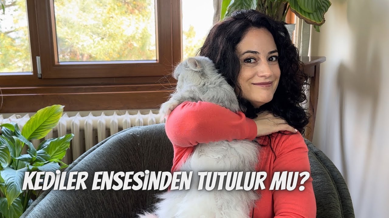 Yaşlı kedi bakımında dikkat edilmesi gereken 10 madde‼️