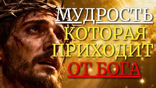 картинка: 15 МОЩНЫХ УЧЕНИЙ ИИСУСА, КОТОРЫЕ РАСКРЫВАЮТ СИЛУ МУДРОСТИ И МОГУТ ПРЕОБРАЗИТЬ ВАШУ ЖИЗНЬ