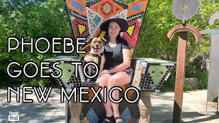 Taking Phoebe To New Mexico! || Weekend Trip With A Service Dog by Colorado Service Mutt 254 views 1 year ago 25 minutes