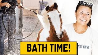 My Oldest Horse Gets A Bath