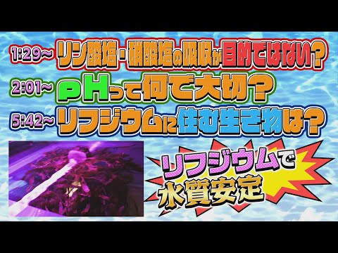 リフュージアム導入で硝酸塩を40%減らす！12年の経験が教える5つのメリット