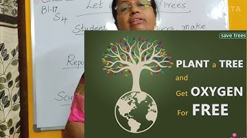 class 4 block 17 s4 social studies