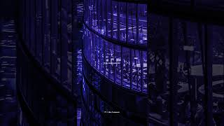 Download Lagu Say My Name - David Guetta, Bebe Rexha \u0026 J Balvin | lyrics | aesthetic | whatsapp status | slowed MP3