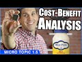 Cost-Benefit Analysis- Micro Topic 1.5