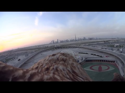 The Eagle visits