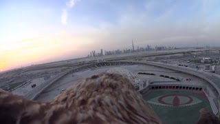 The Eagle Visits The Meydan Racecourse In Dubai