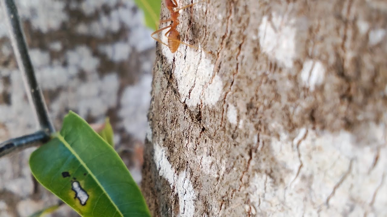 Cultivating a calm attitude