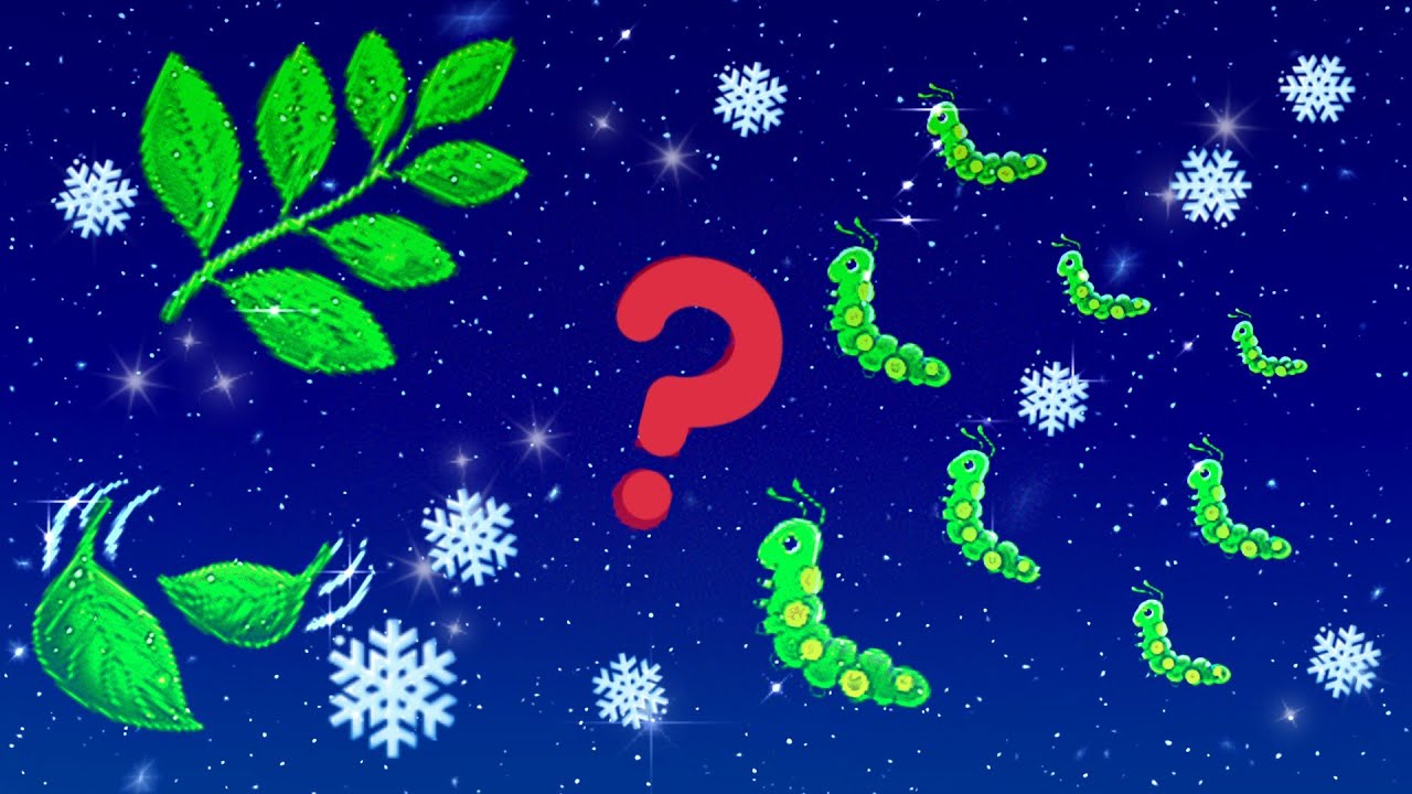 My "secret" winter food for Eri silkworms | Samia ricini