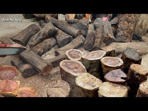 Video Khai quật được lô gỗ Cẩm Chỉ Tây Bắc(me đá)trong kho... - youtube