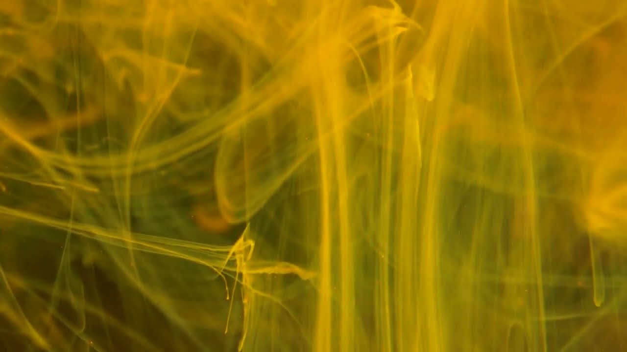 happy white noise with birds chirping, planes flying overhead in the distance.