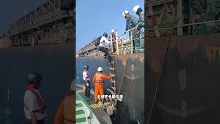 引水员竟然还是主权代表?高考志愿选这个冷门专业需要勇气 #引水员 #航海 #科普一下