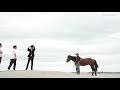 浦田直也 アルバム