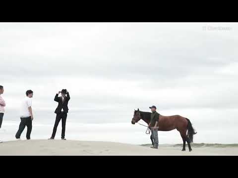 浦田直也 アルバム