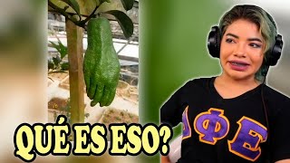MEMES RANDOM #263 - MADOMOGO REACCIÓN