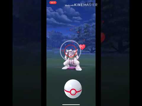 ポケモンGO パルキア 96% 100% おまけカイオーガ