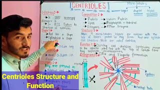 Centrioles Structure And Function Of Cl 9Th And 11Th In Urduhindiiqbal Biology